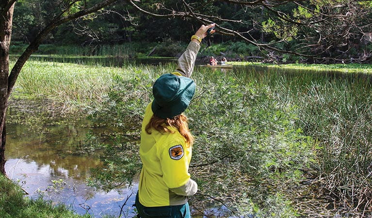 NPWS staff releasing a sacred kingfisher back into the wild. Photo: David Croft/DPIE