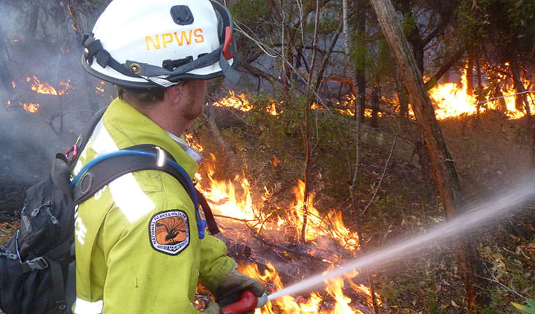 NPWS field officer controlling a hazard reduction burn, Ku-ring-gai Chase National Park. Photo: David Croft