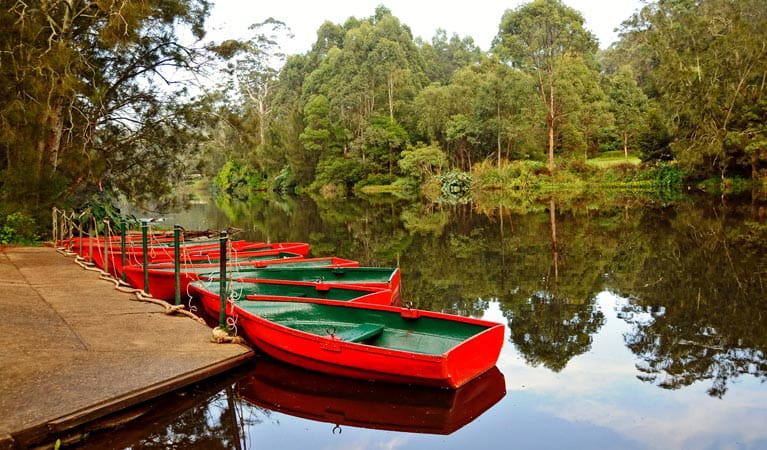 Red row boats moored at the boatshed, Lane Cove National Park. Photo: Kevin McGrath &copy; DPIE