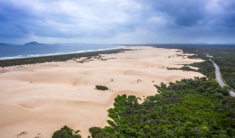 The beach and dunes along Dark Point walking track in Myall Lakes National Park. Photo: John Spencer &copy; DPE