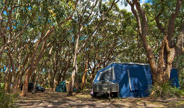 Stewart and Lloyds campground, Myall Lakes National Park. Photo: John Spencer/NSW Government