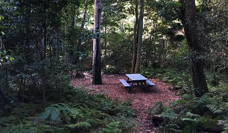 Picnic table beside Bola Creek on Forest path walking track. Photo: Natasha Webb