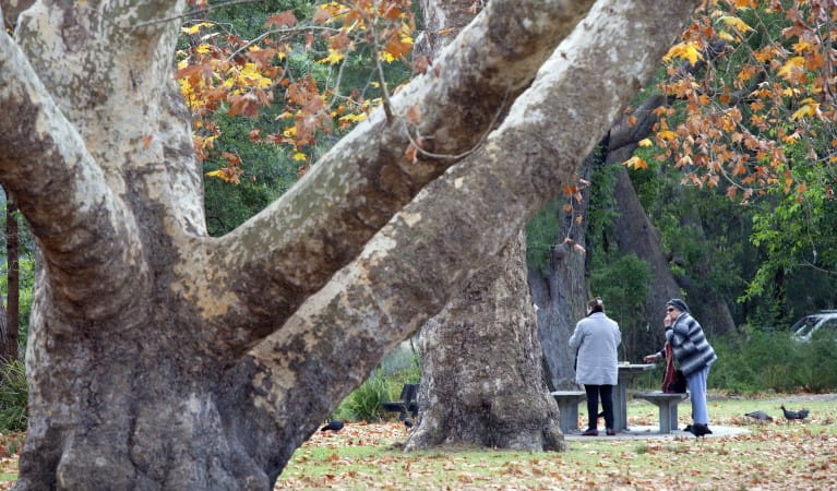 Two people setting up at a picnic table with a tree in the foreground at Ironbark Flat picnic area in Royal National Park. Photo: Nick Cubbin &copy; OEH