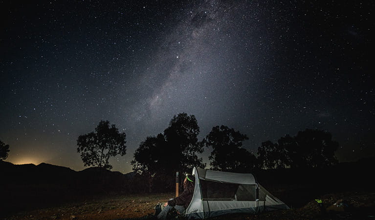 Woman wearing a head torch sits beside her tent under the stars in Warrumbungle National Park. Photo: Robert Mulally/OEH