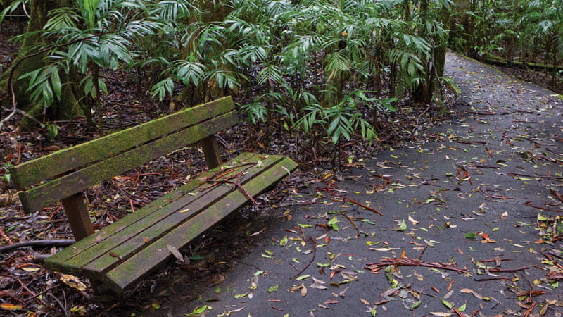 Park bench along the Coombadjha nature stroll. Photo &copy; Rob Cleary