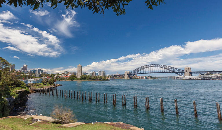 Views from Goat Island to the Sydney Harbour Bridge, Sydney Harbour National Park: Photo: David Finnegan &copy; DPIE